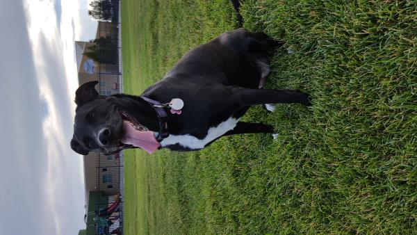 /Images/uploads/Humane Society of Utah/HSUCalendar/entries/980thumb.jpg